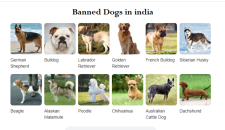 Which dog breeds are banned in India